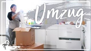 UMZUG – Kisten packen amp Einzug in die neue Wohnung nurwasichmag [upl. by Broucek]