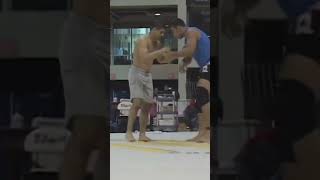 How To Take Down A Wrestler 101 FABRICIO WERDUM Style 😂🐴 [upl. by Gonnella]