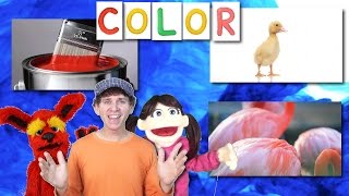 What Color Is it Song For Kids  Learn with Matt  Learn English Kids [upl. by Eelarol431]