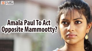 Amala Paul To Act Opposite Mammootty Filmyfocuscom [upl. by Grubb]