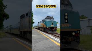 Casselman ON Fast F40PH2 LRC cars amp my Whippet viarail railways trains railfan [upl. by Bick]