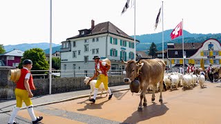 Öberefahre Appenzell 2022  Alpabzug Alpabfahrten Appenzell Innerrhoden [upl. by Silrak]