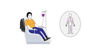 Cancer Basics – How chemotherapy works [upl. by Schoof]