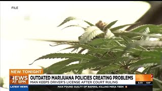 Arizona drivers licenses cant be suspended based only on THC blood levels [upl. by Kauffmann202]