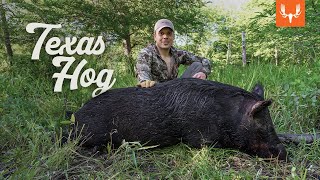 Texas Hog Hunting with Tyler and KC [upl. by Nomyar572]