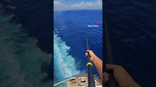 360°View Of Oil tanker on Pacific oceanviralvideo oiltankertruck oiltankershipocean [upl. by Snilloc813]