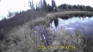 hunting Kapuskasing N Ontario outlander 800 atv 4 [upl. by Tteltrab]