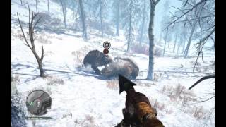 Far Cry Primal  Bloodfang Sabretooth vs Brown Bear [upl. by Kayla]