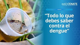 Todo lo que debes saber contra el dengue [upl. by Colombi]