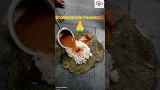 Dharamasthala Prasadam ❤️  Koti tapa devotional love [upl. by Fregger706]