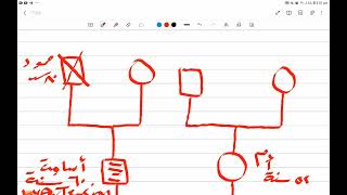 practical Genogram💪💪 [upl. by Yssep16]