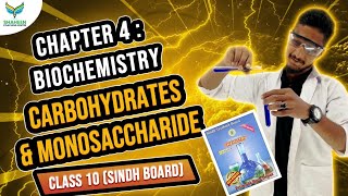 BiochemistryCarbohydratesBiologyClass 9 shaheencoachingcenter sindhboard karachiboard [upl. by Niffirg423]