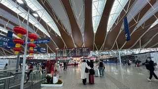 Pudding airport Shanghai China 🇨🇳 china pudding airport [upl. by Horter]