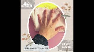 SET PILUCHO  YELLOW BEE [upl. by Hornstein]