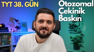 Otozomal Çekinik Baskın  39 Günde TYT Biyoloji Kampı  38 GÜN  yks2025 [upl. by Oinimreh]