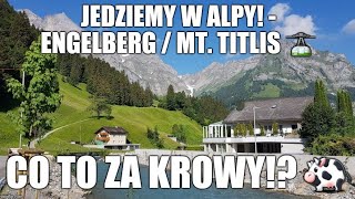 Jedziemy w Alpy  🧗‍♀️ Engelberg 🇨🇭  Mt Titlis 🚡 co za krowy 🐄 [upl. by Costin]