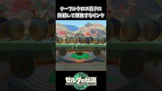 【ティアキン】テーブルクロス引きに挑戦するリンク【ゼルダの伝説 ティアーズ オブ ザ キングダム】 [upl. by Aztinay631]