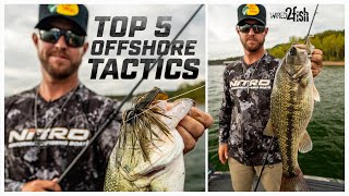 Offshore Bass Fishing Baits  Dakota Ebares Top Picks [upl. by Esylle]