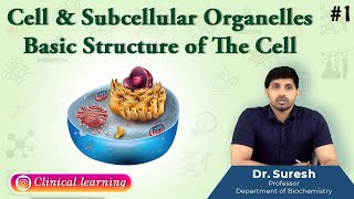 1 Cell amp Subcellular Organelles  BASIC STRUCTURE OF THE CELL [upl. by Naloj]