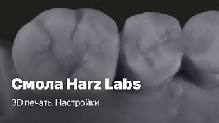 3D печать моделей Harz Labs полимеры Смола Harz Labs настройки Harz Labs Dental Model [upl. by Benilda713]