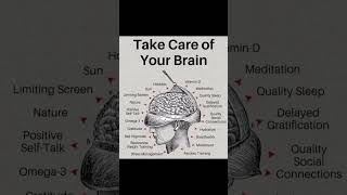 Are You Taking Care Of Your Brain 🧠 everydayshorts youtubeshorts viralshort subscribe [upl. by Ytsirt]