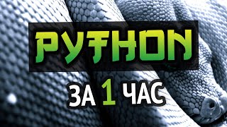 Учим Python за 1 час ОтПрофессионала  HD Remake [upl. by Eceirehs]