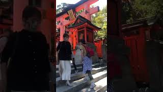 Fushimi inari shrine [upl. by Esiouqrut]