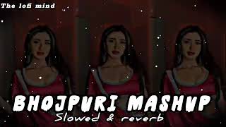 Bhojpuri mashup 🥀 lofi songs  Trending mashup bhojpuri songs  Slowed reverb lofi songs [upl. by Arratahs]