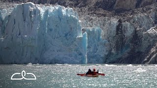 Endicott Arm amp Dawes Glacier  Alaska [upl. by Odessa]