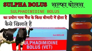 Sulpha bolus  Sulphadimidine bolus vet  Veterinary bolus गाय भैंस को कब देते हैं [upl. by Shirley]