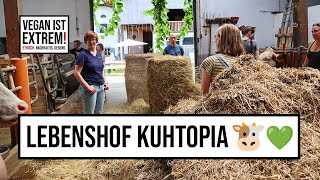 Lebenshof Kuhtopia Eindrücke der Hofführung [upl. by Eisenstark]