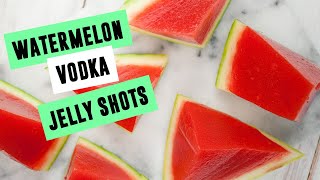 Watermelon Vodka Jelly Shots  SO VEGAN [upl. by Einatirb881]