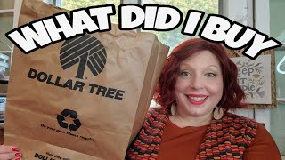 DOLLAR TREE HAUL WHAT DID I BUY TO SAVE MYSELF MONEY FOR THE HOLIDAYS [upl. by Rothberg]