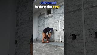 advanced backbend yogasigismondi yoga yogapractice viral shorts [upl. by Ameen]