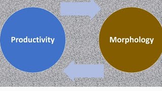 Morphological Productivity Rules of Lexeme Formation [upl. by Leopoldine]