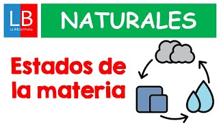 ESTADOS de la MATERIA y CAMBIOS de ESTADO para niños ✔👩‍🏫 PRIMARIA [upl. by Niai187]