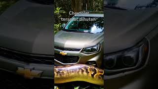 Chevrolet captiva tersesat dihutan reels chevrolet animation hiburan [upl. by Mehcanem]