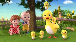 Five Little Ducks Went Out One Day Song  Kids Songs  Beep Beep Nursery Rhymes [upl. by Roos]