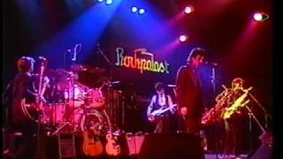 Mink DeVille  Love and Emotion  Rockpalast Essen 1981 [upl. by Vittorio]