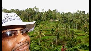 The Abian Desa Rice Terrace in Ubud Bali [upl. by Neirod]