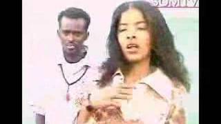 somali song Waayaha Cusub [upl. by Ramej342]