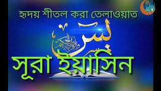 সূরা ইয়াসিন অর্থসহ। surah yasin with bangla translationQari Shakir Qasmi [upl. by Notneb691]