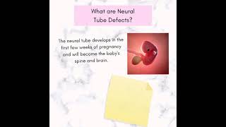 Neural Tube Defects [upl. by Berstine]