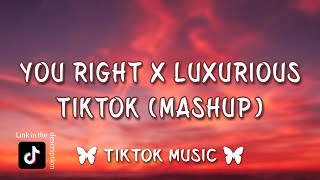 Doja Cat  You Right X Luxurious TikTok Mashup Lyrics quotI got a man but I want youquot [upl. by Meggie480]