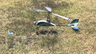 Durafly AutoG2 PNF Autogyro Review [upl. by Yssenhguahs773]