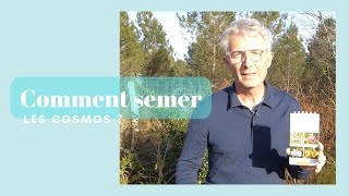 Comment semer les cosmos   Monjardindansleslandes [upl. by Adnawat]