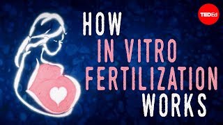 How in vitro fertilization IVF works  Nassim Assefi and Brian A Levine [upl. by Notlil]