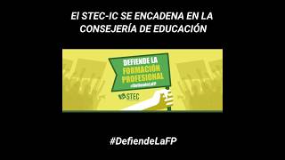 El STECIC se encadena en la Consejería de Educación en defensa de la Formación Profesional [upl. by Elmo]