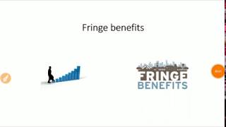 Fringe benefits  Meaning  Needs  Objective  Type  HRM [upl. by Nolyd]