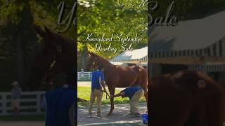 Keeneland September Yearling Sale [upl. by Cammi]